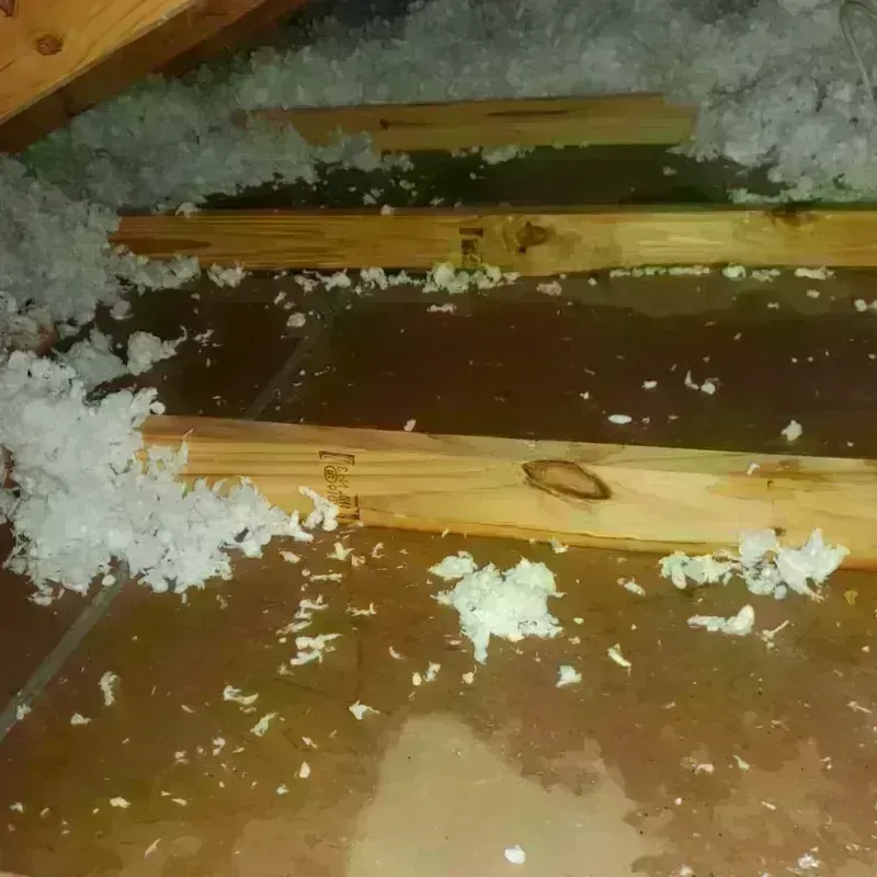 Attic Water Damage in Fairplay, CO